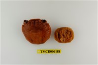 藏品(白紋方蟹)的圖片